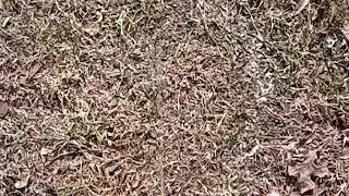 Peeing after drinking 