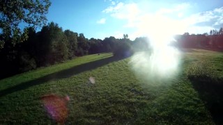 Cock bryony out window