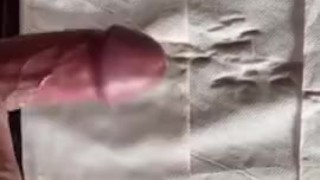 日本人大学生がトイレットペーパーの上に射精
