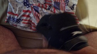 Ejaculation sur mon boxer Freegun avec un gant Fox