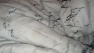 Bald head edible boys for.spacecatusa live