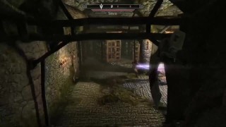 Skyrim - leitura de como pegar milf