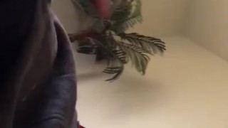 18yo Boy Jerking Off Big Cock and Moaning