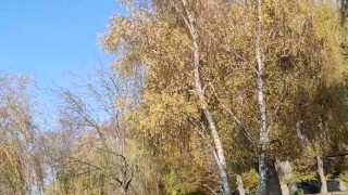 Littleangel84 - Pipe super risquée au lac leman et creampie dans la campagne Suisse