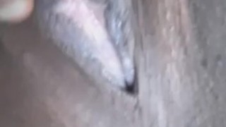 Pussy 🤤🌮