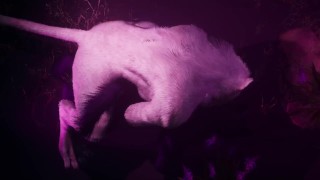 Gay Furry Synth Lovers | Lion & Wolf | Wild Life Furries