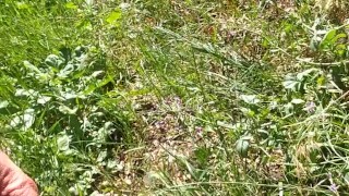 Guy takes a sketchy piss next to the highway