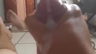 full cumshot in my hand