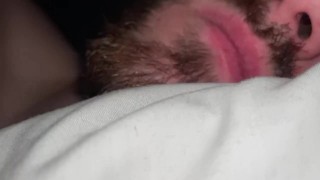 Macrophilia - Vore accidentally falls into giants mouth