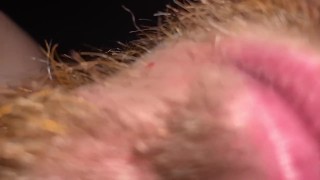 Macrophilia - Vore accidentally falls into giants mouth