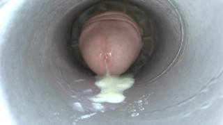 Fleshlight Internal View