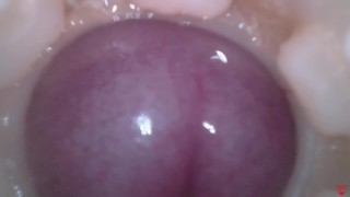 Super cum in vagina. Excellent internal camera