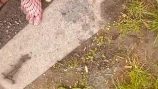 Public pee in fishnets