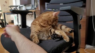 Romantic play in bed .... Fierce pussy on a Sunday morning.