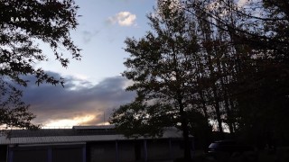 Hung Stud in Gray Sweat Pants Wanks in Public Toilet