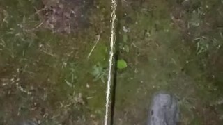 Morning piss