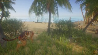 Tiger Furry Knotting Gay Teen Guy POV