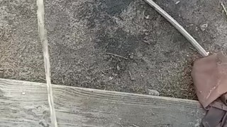 Peeing after a night of drinking 