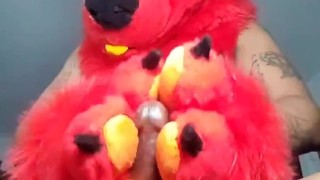 FireStorm Having a Good Time with His Paws