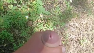 Young big dick getting hard in the woods