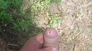 Young big dick getting hard in the woods