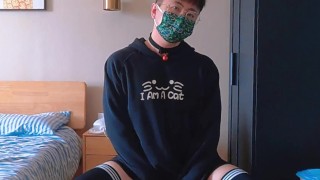 This time it's a kitty costume