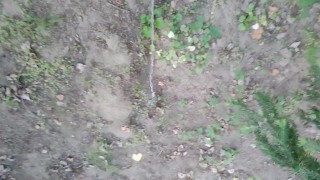 2 times peeing in a park