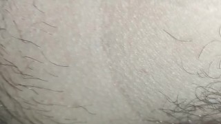 Batiéndole la leche a culo preñado