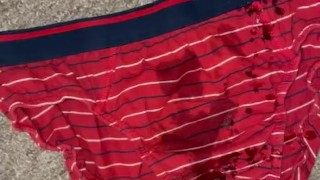 Pee on my red briefs and the carpet