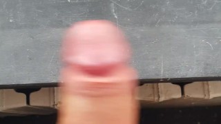 Sega davanti alla finestra