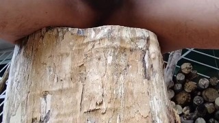 Me pajeo en el patio de mi casa