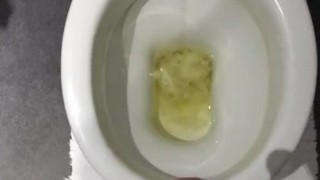 Toilet piss