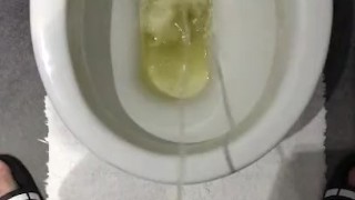 Toilet piss