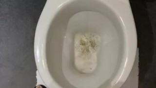 Toilet piss