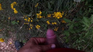 Gianni Ginestra piscia sulle ginestre in fiore