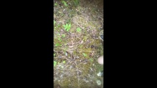 Pissing on the street in public