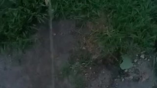 Back again with another peeing video 