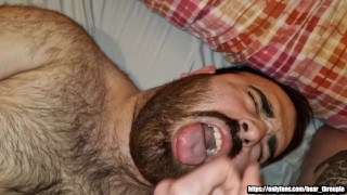 Ositos se dan leche en la cara