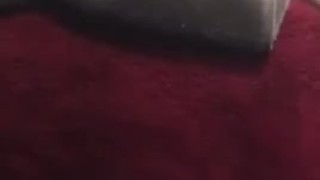 Milf creaming on dildo 