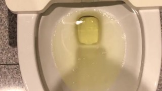 しまむらのトイレの個室で放尿しました。