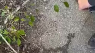 Public piss sword fight