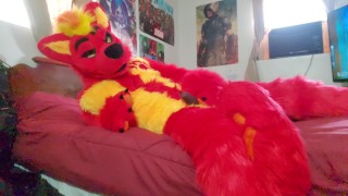 What happens in Neflix and Chill with FireStorm!