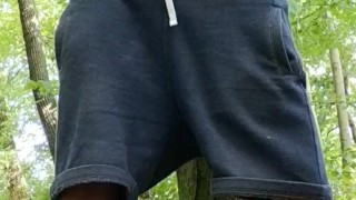 Throbbing cumming cock in woods