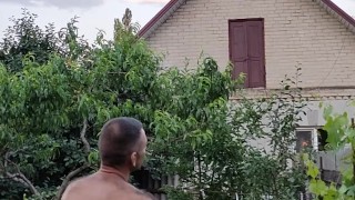 Evening in the garden, there is something to do