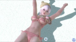 Dead or Alive Xtreme Venus Vacation Luna Scarf of Warmth Fanservice Appreciation