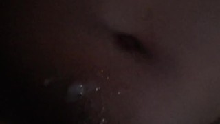 MORNING NUT