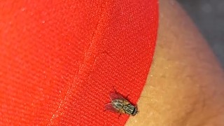 Hairy stud sucking on juicy biceps (IN PUBLIC)
