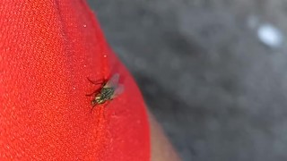 Hairy stud sucking on juicy biceps (IN PUBLIC)