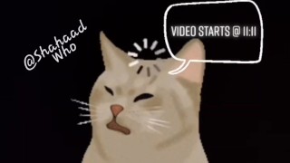 Auckland New Zealand Teenager Has Some Amazing Pussy - Live Stream