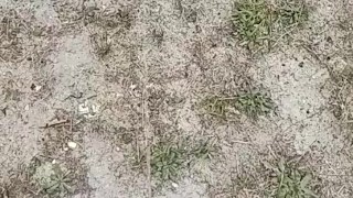 Ain't nothing like that morning piss